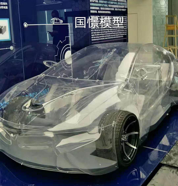 炎陵县透明车模型