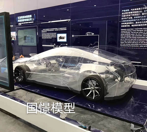 炎陵县透明车模型